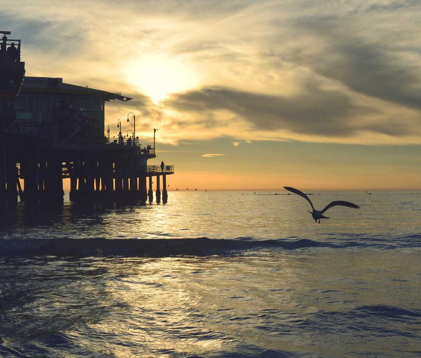 语音实名上网卡- 随身网络购买平台