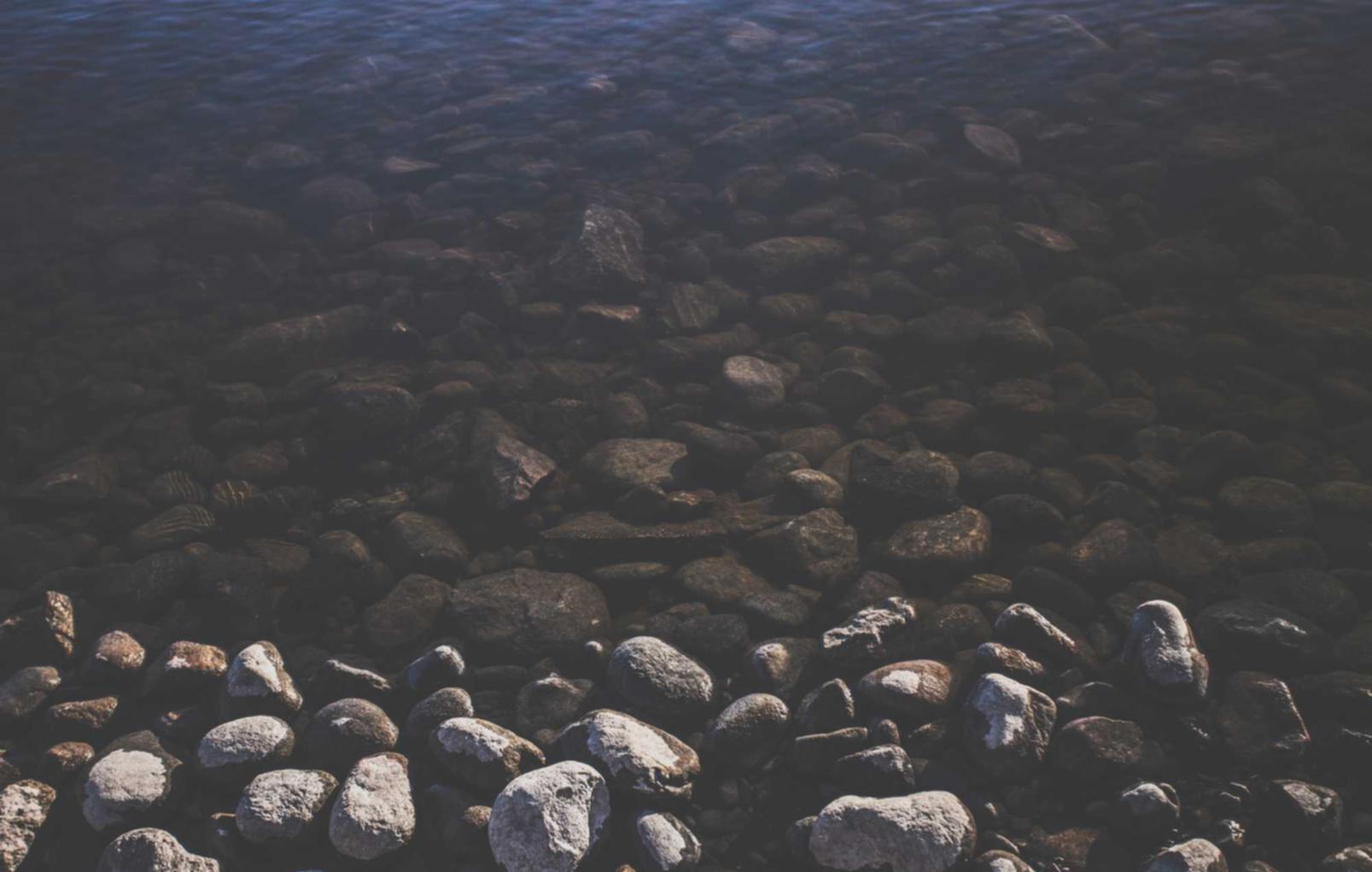 全民奇迹:股票免费开户平台