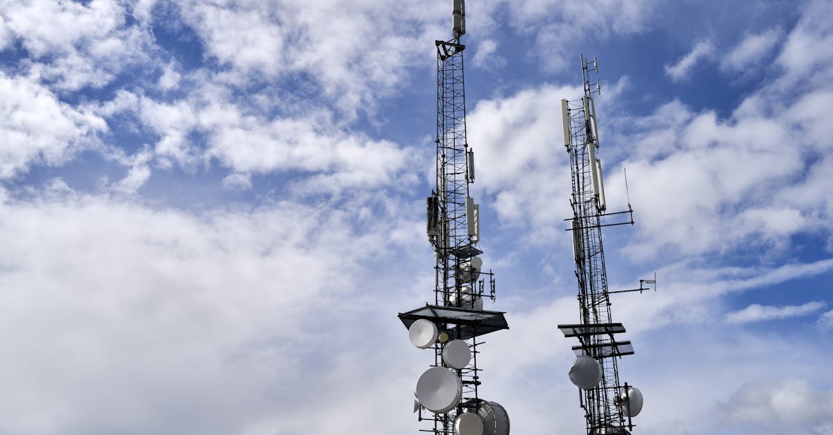 木盒红沉香(细):详情下载教程工行app详情下载教程