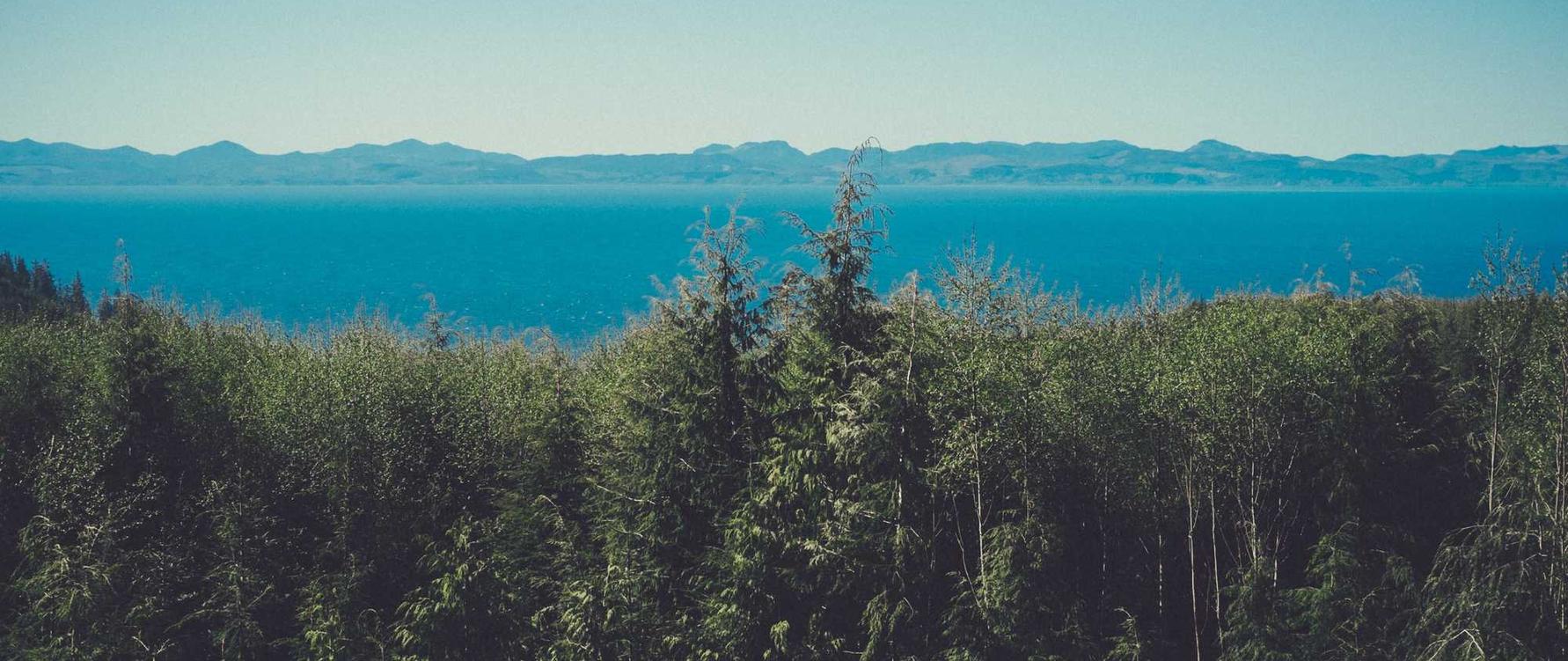 自贸区注册代理机构费用