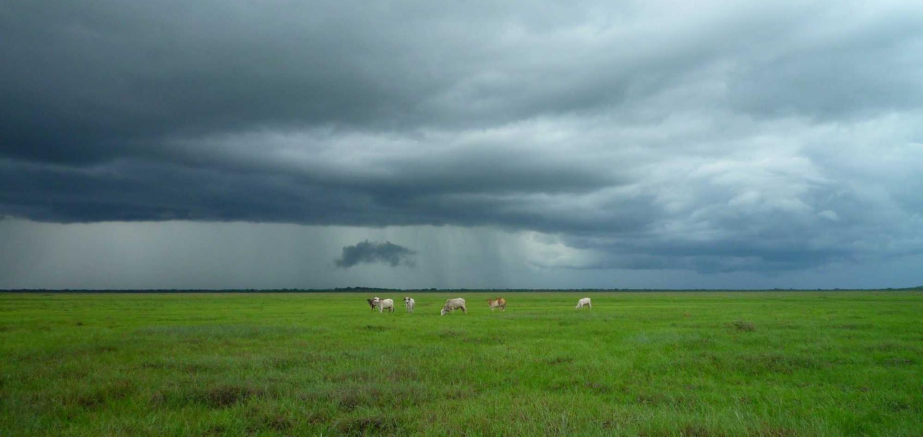 绑卡微信号买卖:龙珠微信账号注册