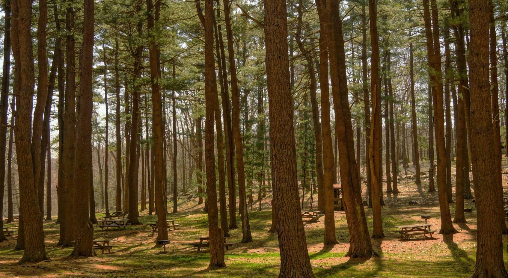 建立强大的防御体系,抵御DDoS攻击