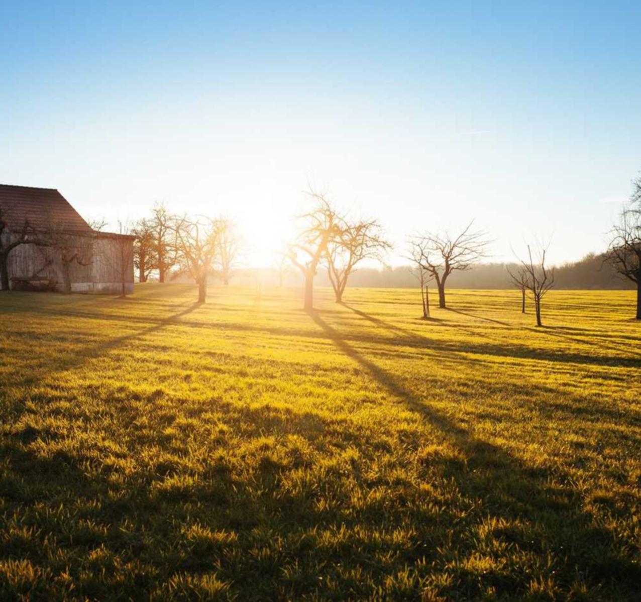 迪信通实名账号:天珠那个平台购买