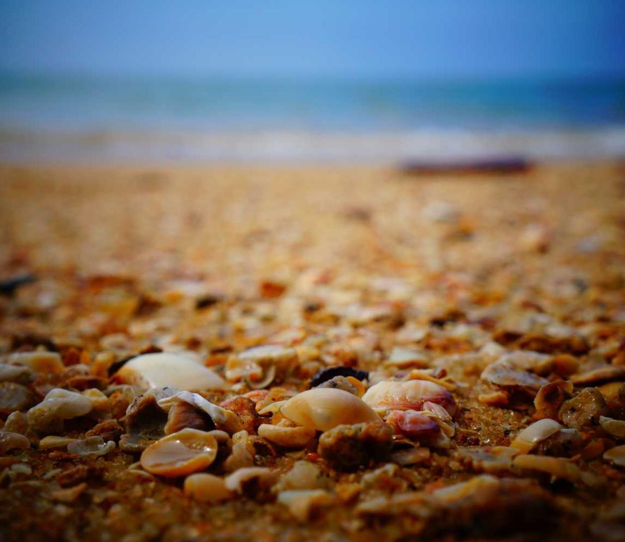 八大不被人所知的SEO技巧