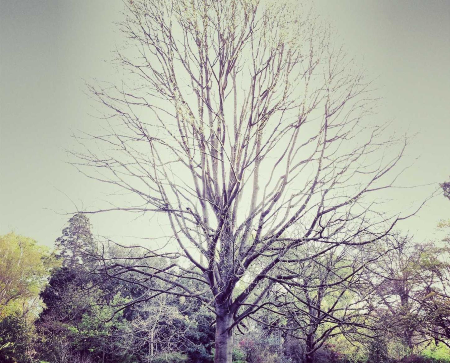 天宏娱乐,注册|Why Personalization in Marketing is Key to Building Strong Relationships with Customers