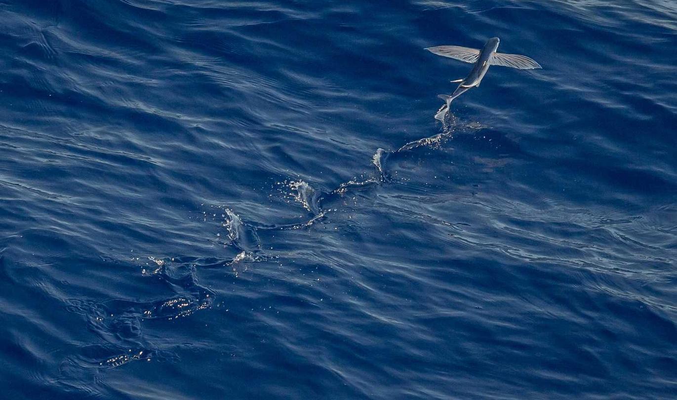 国外ddos攻击页端|黑客攻击的类型和方法