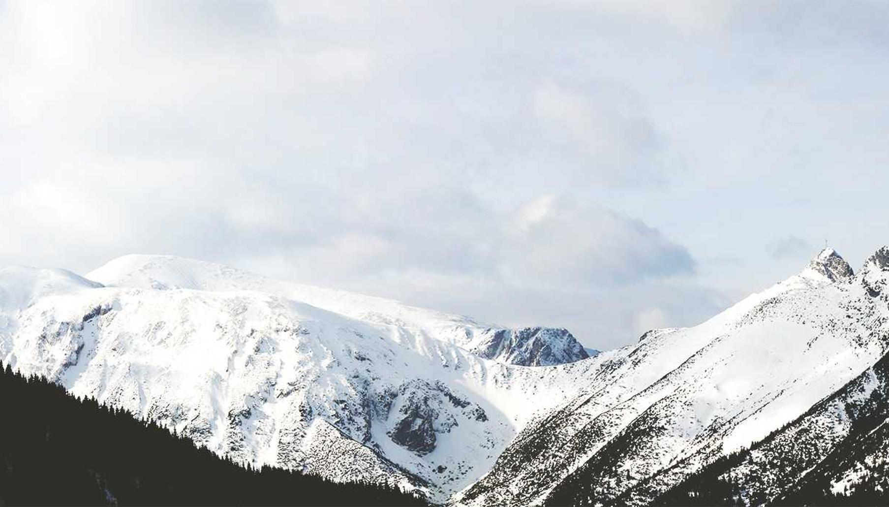 亿速云实名账号:服装批发代理采购平台