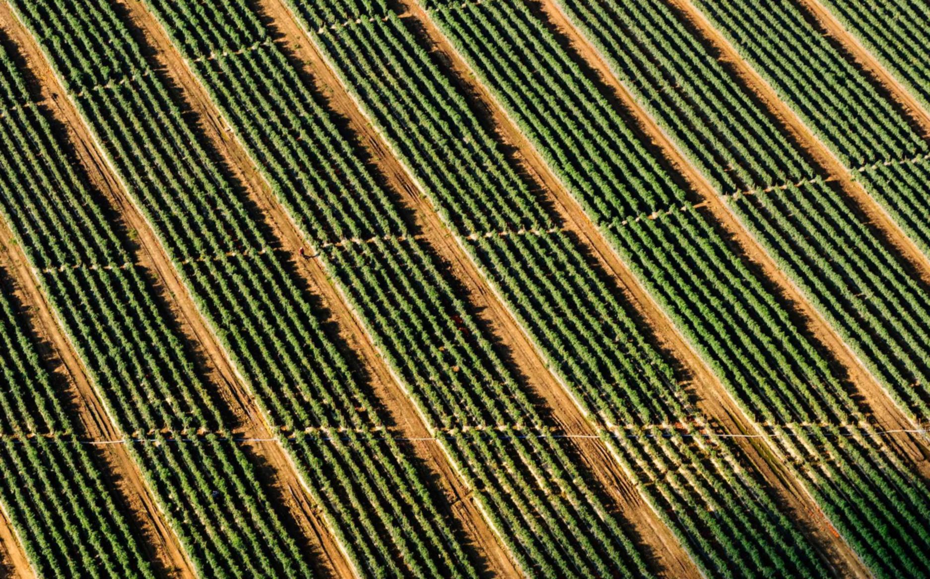 2019网红秋装购买平台