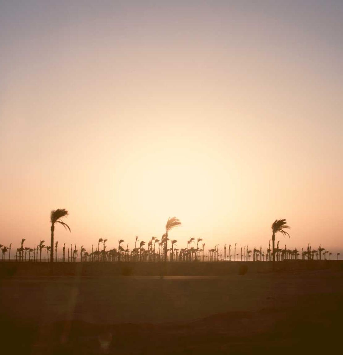另一个伊甸：超越时空的猫：四川公司注册代理金额要求