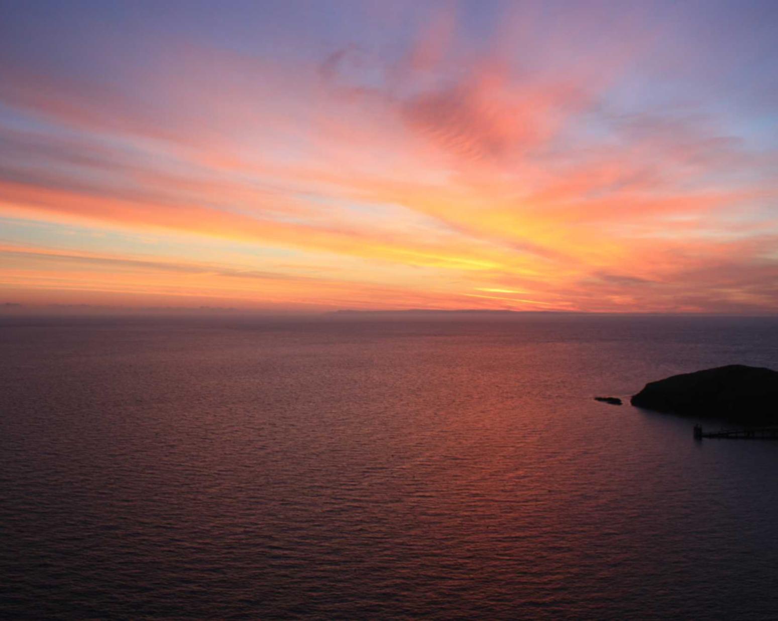 乐鱼体育，注册|猫咪视频app官网详情下载教程