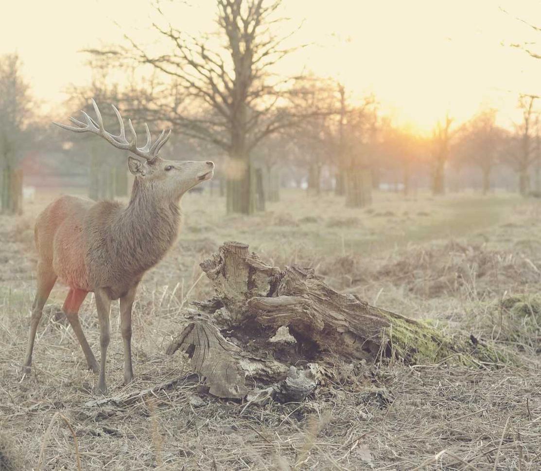 解读DDOS攻击体系- 陕西公司注册代理价格