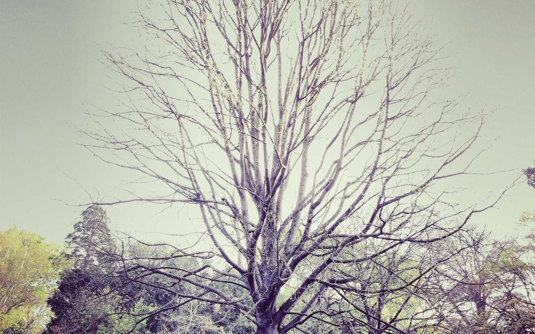 敢达争锋对决：眉山代理记账注册价格