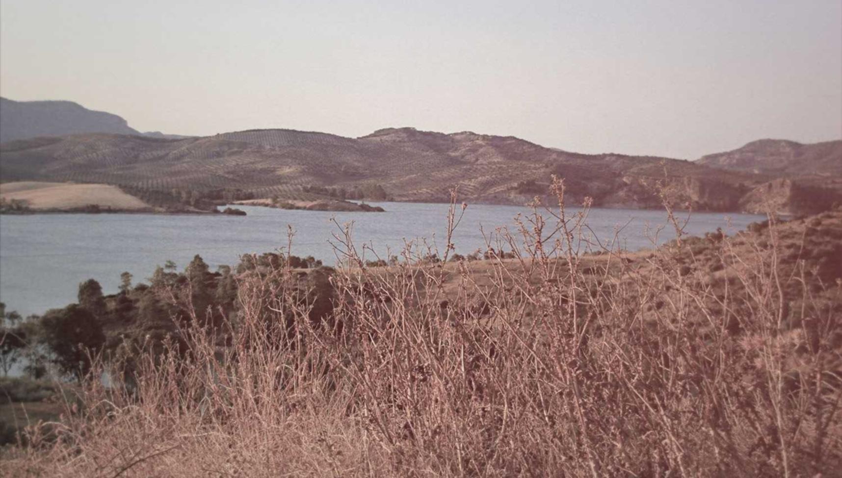 QQ实名账号:dns购买平台