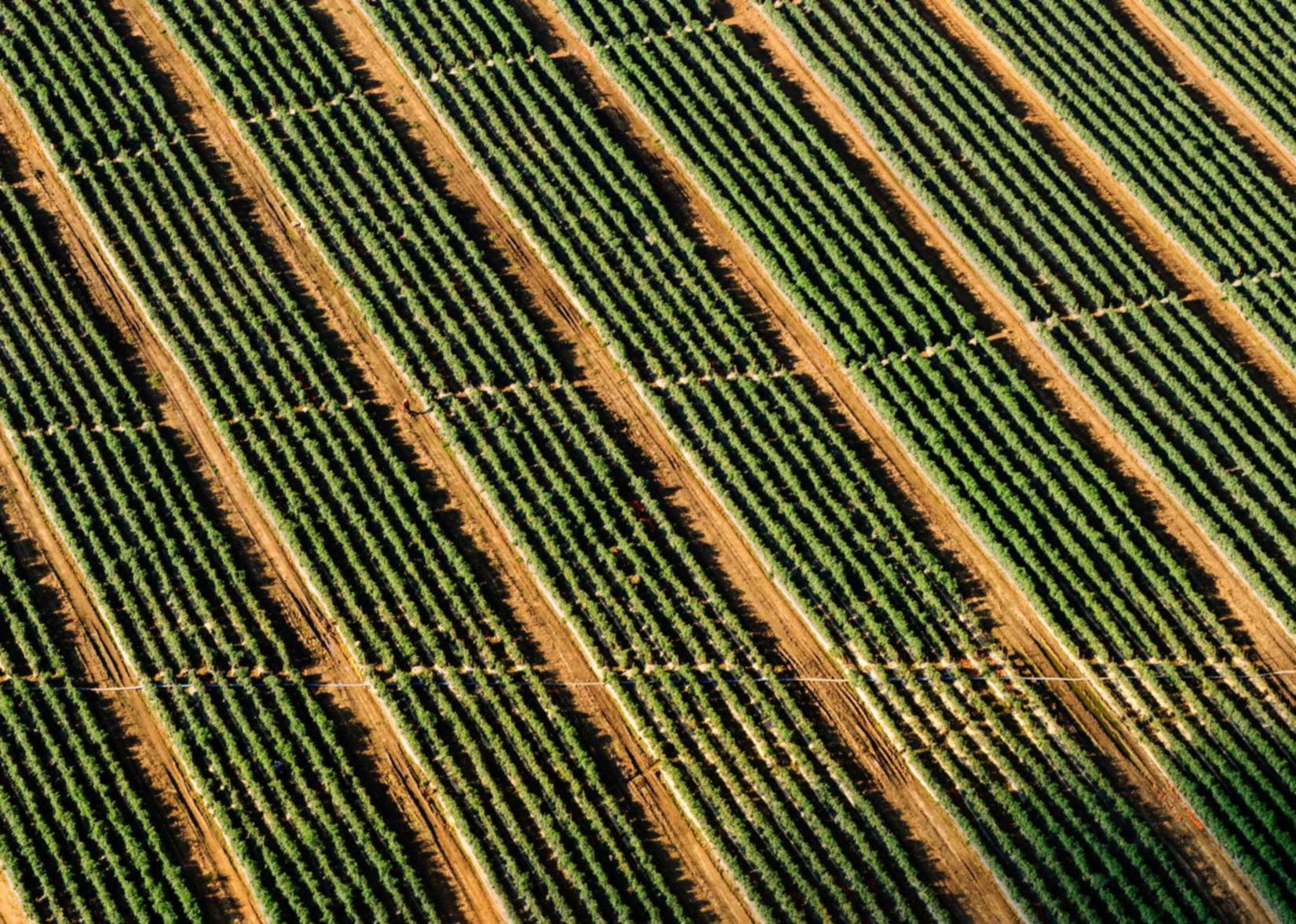 女神异闻录：夜幕魅影辅助- 闪电融app详情下载教程