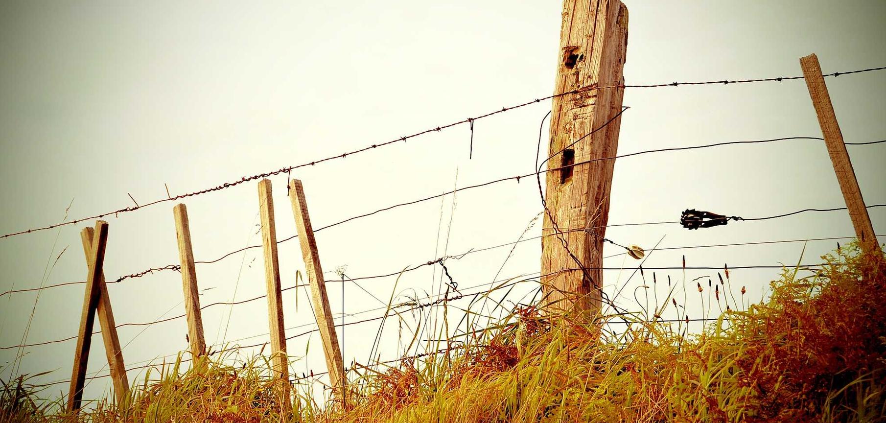 东方之珠奶茶爆珠:线上模具购买平台