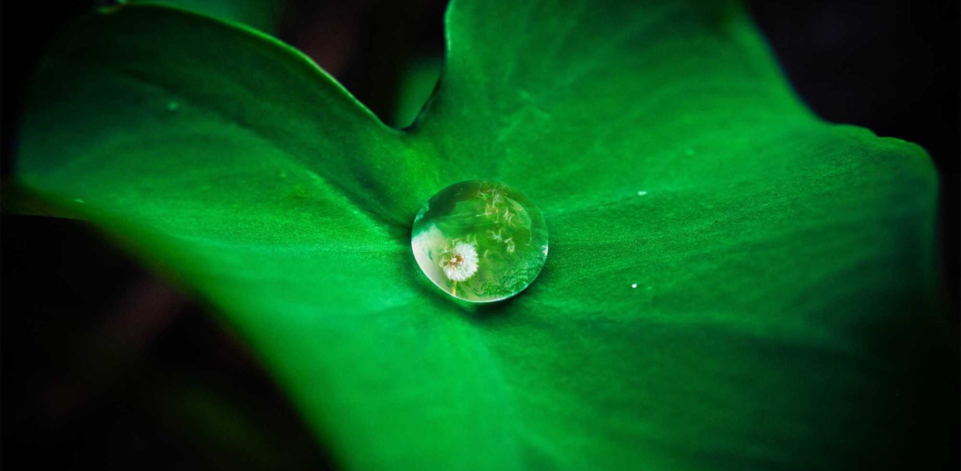 新城娱乐，注册|优盛国际平台开户