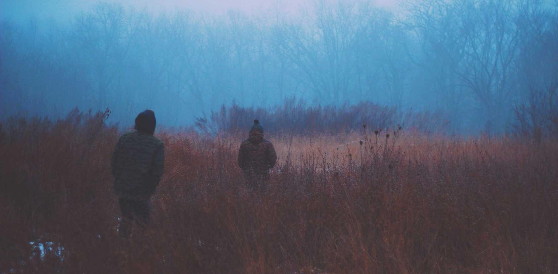 DDoS攻击防范：网络安全的必备措施