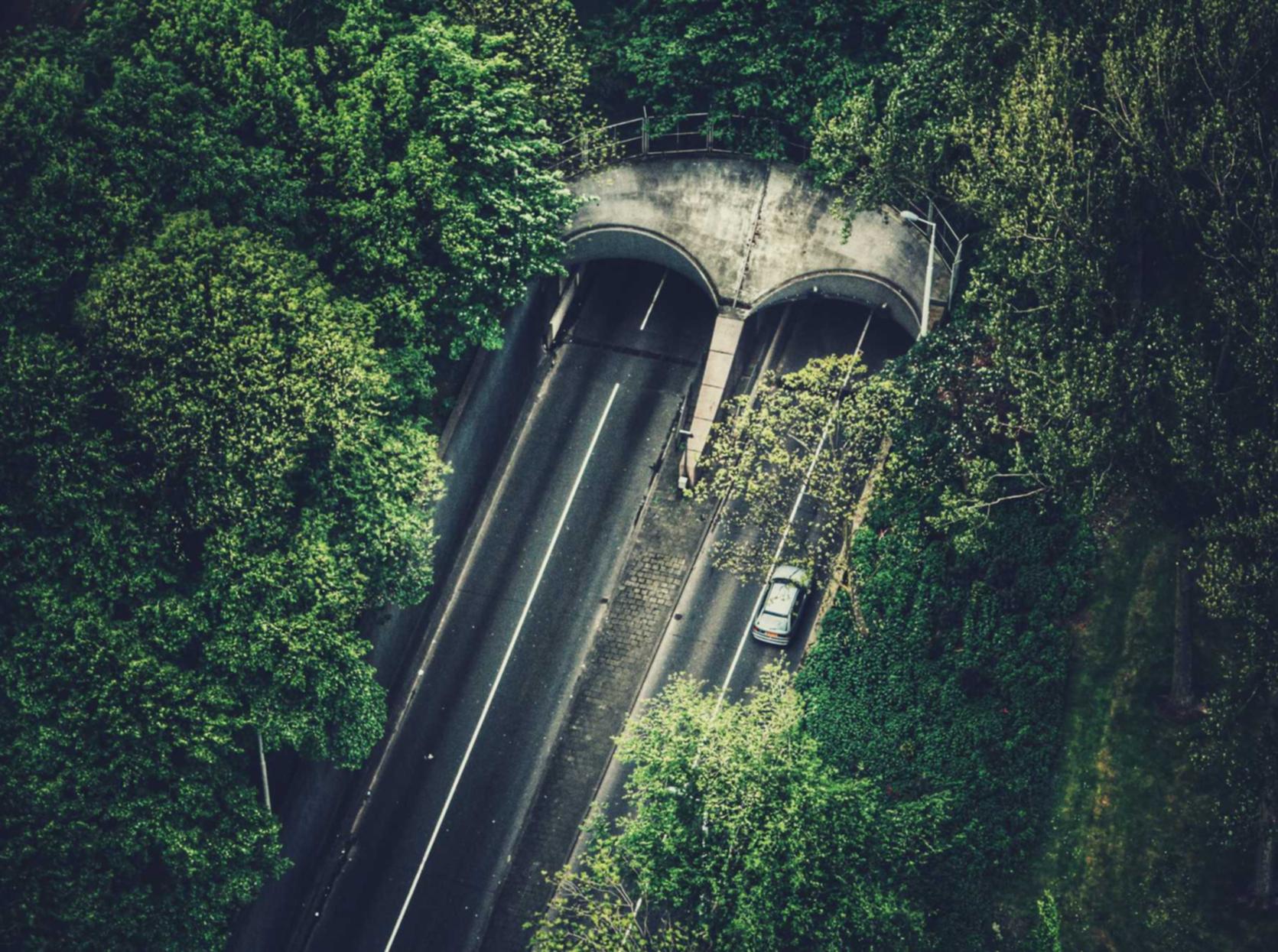 杏彩体育,注册|七台河官方账号注册