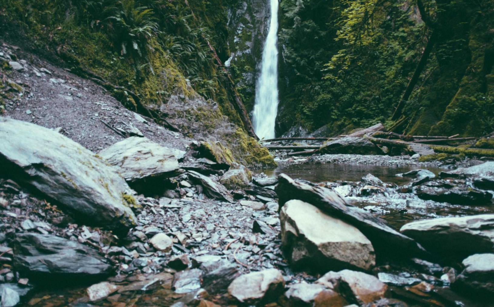 注册代理公司简介