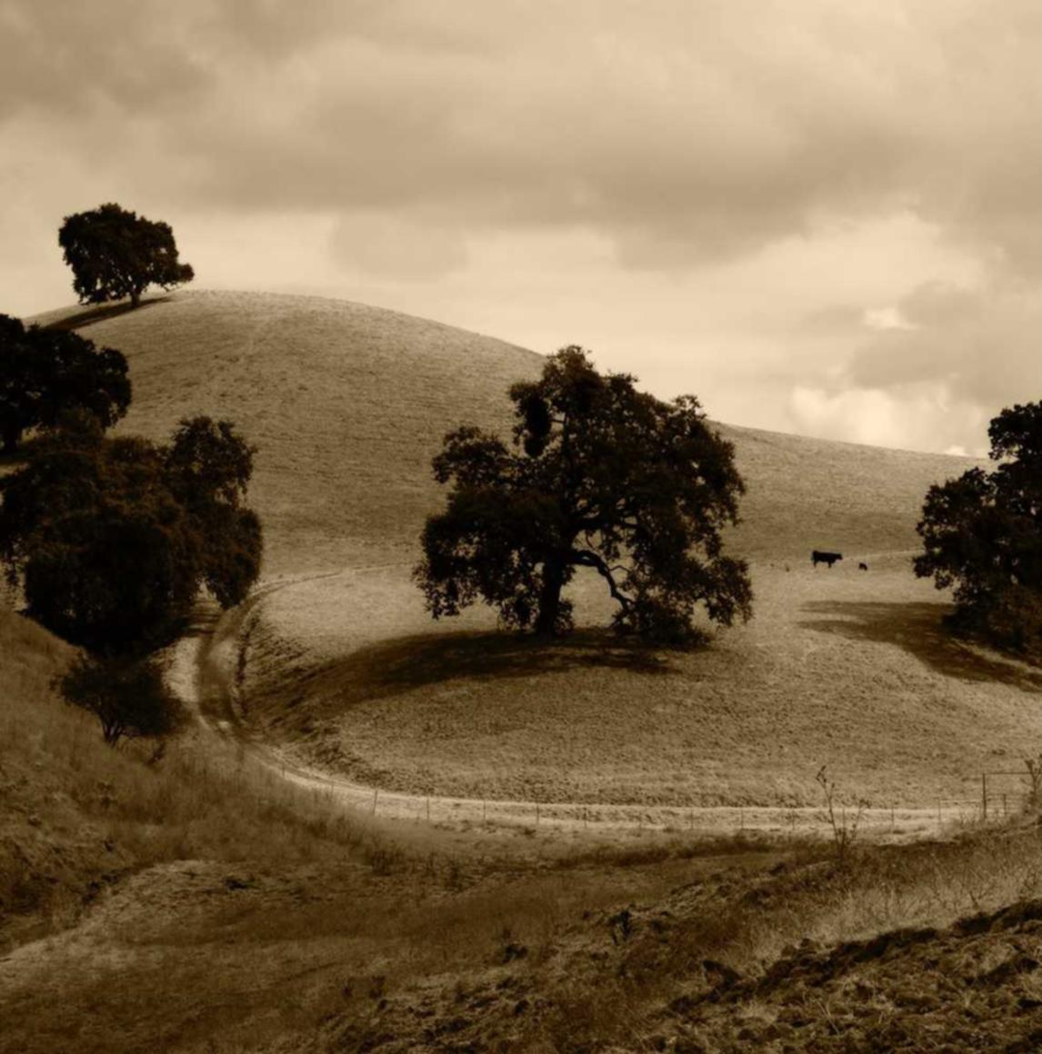 在线DDOS平台攻击|如何更好地与黑客组织合作