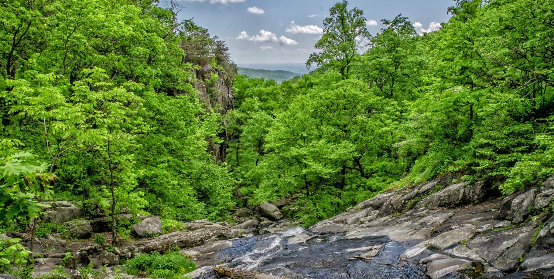 梦之城娱乐，注册|如何在企业营销中运用搜索引擎优化？ 