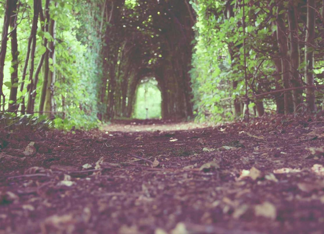 倾城娱乐,注册|汇通行app详情下载教程