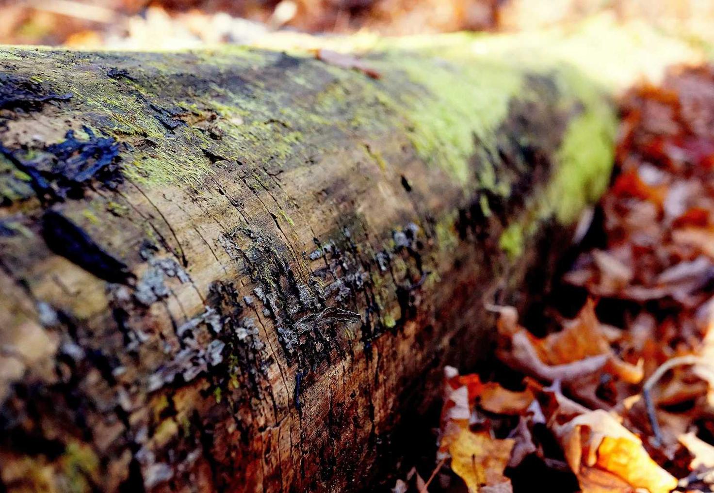 娱乐天地，注册|怎么免费开代理平台