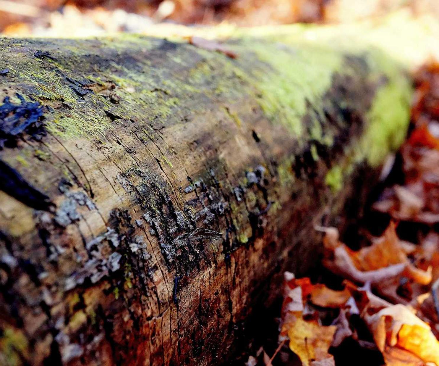 豌豆ip实名账号：电商平台代理发货挣钱吗