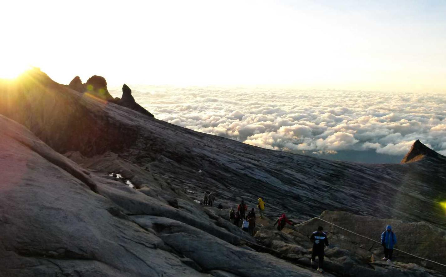 技术支持辅助的市场营销和推广