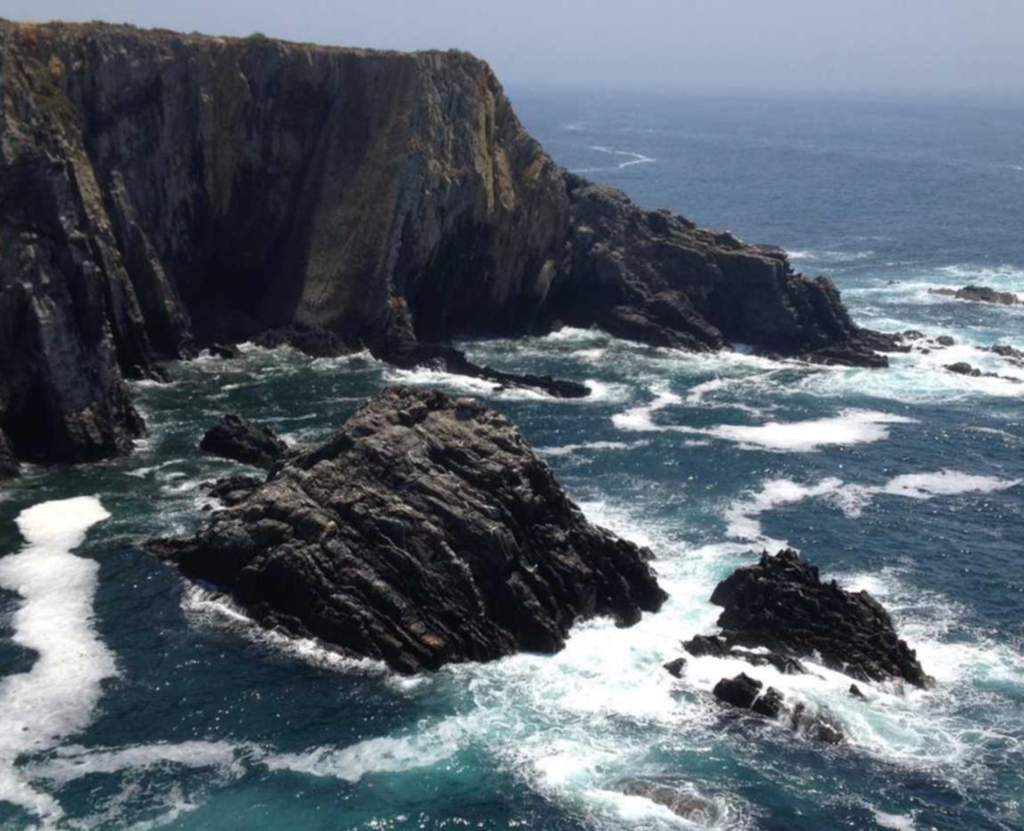 天谕：金华钢琴乐器代理平台