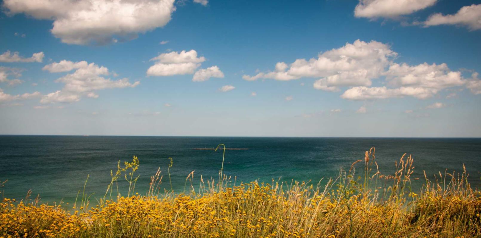 百合网实名账号：流量卡在房地产行业中的应用