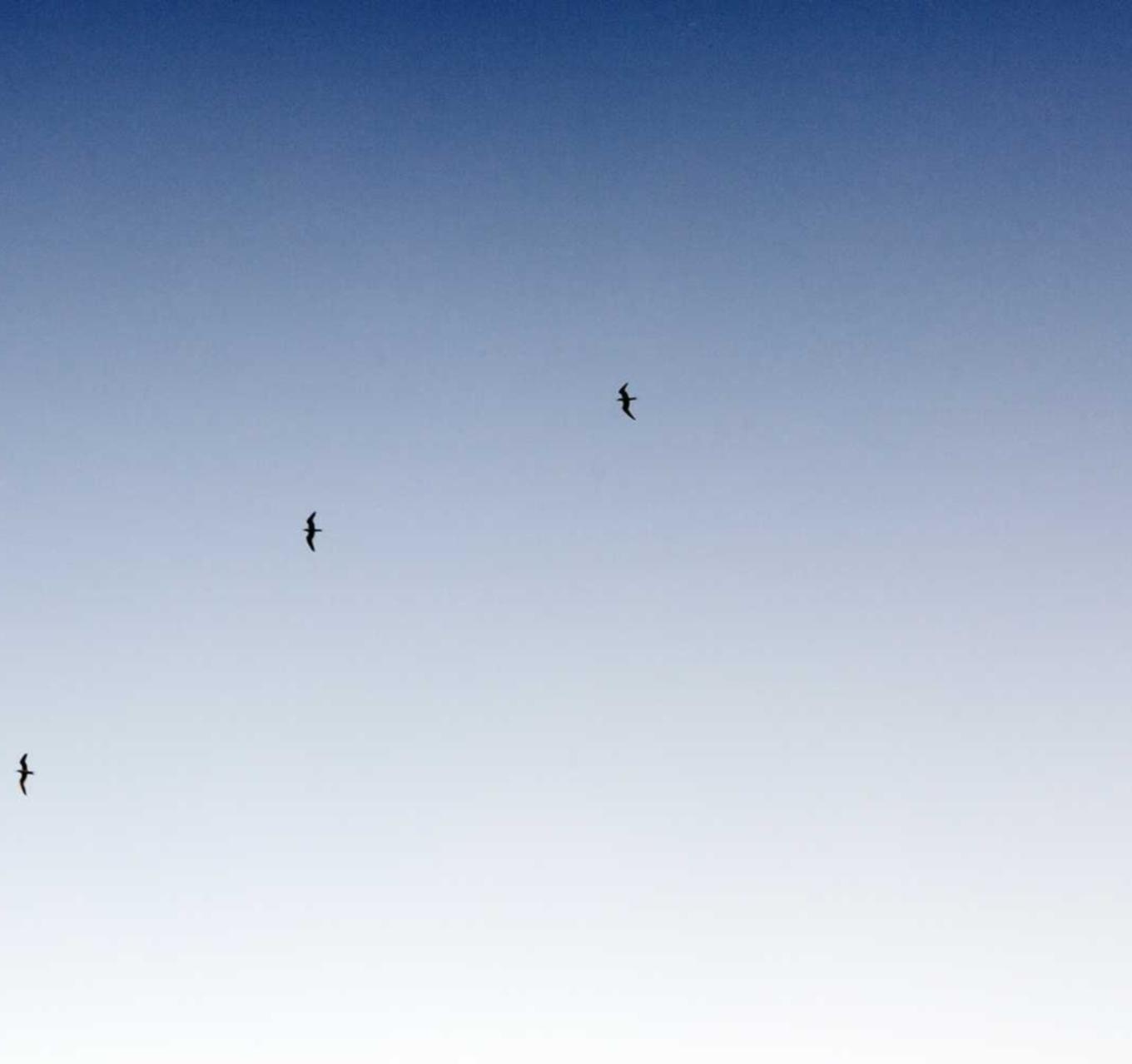 CC在线压力测试|蜂赚在线app详情下载教程