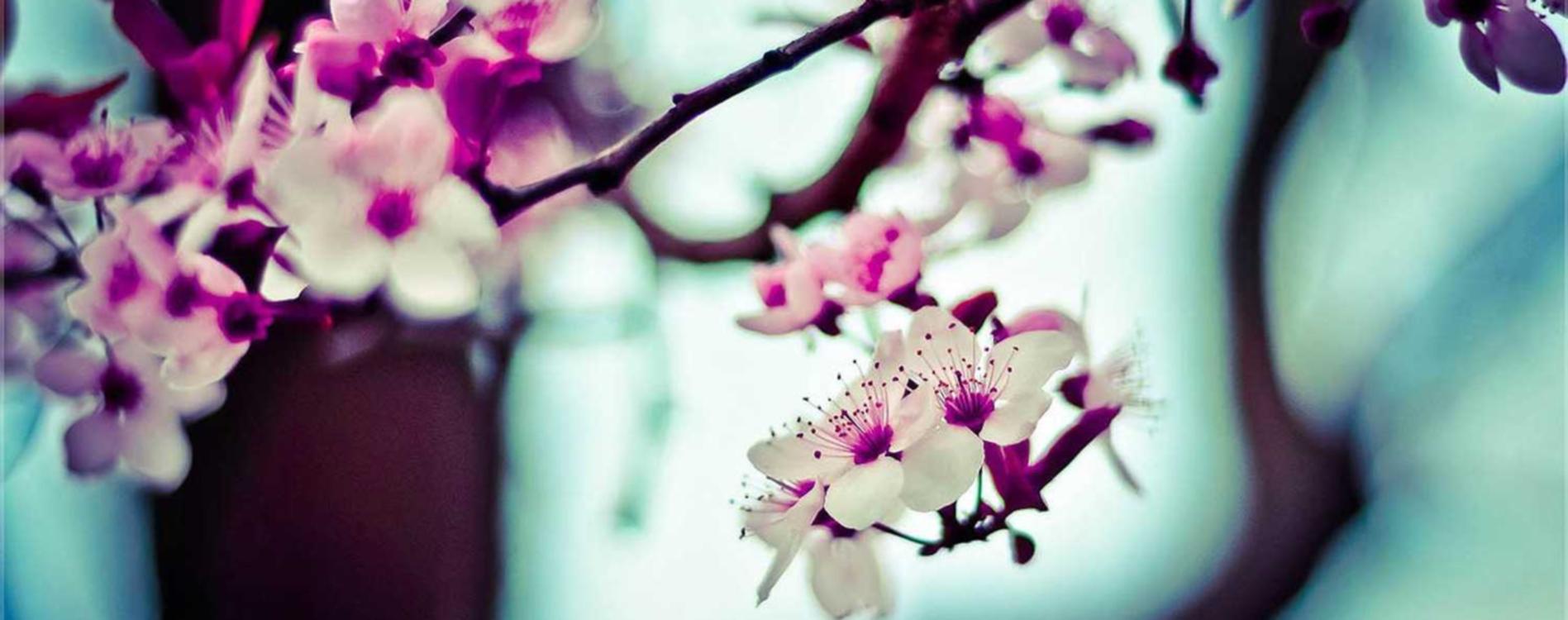 玩家时代唐小僧 app详情下载教程