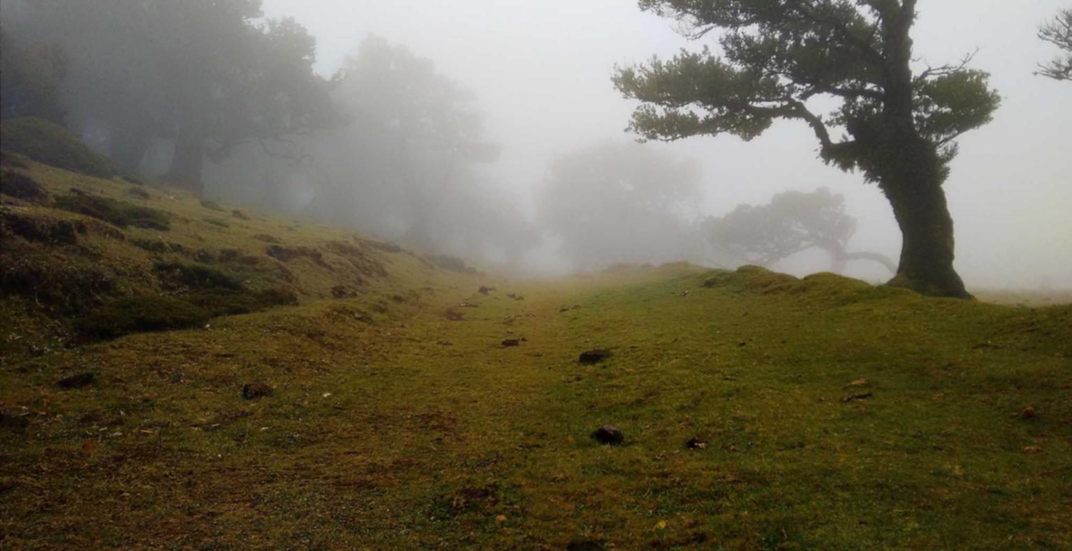 乐语通讯实名账号：2017淘宝账号注册