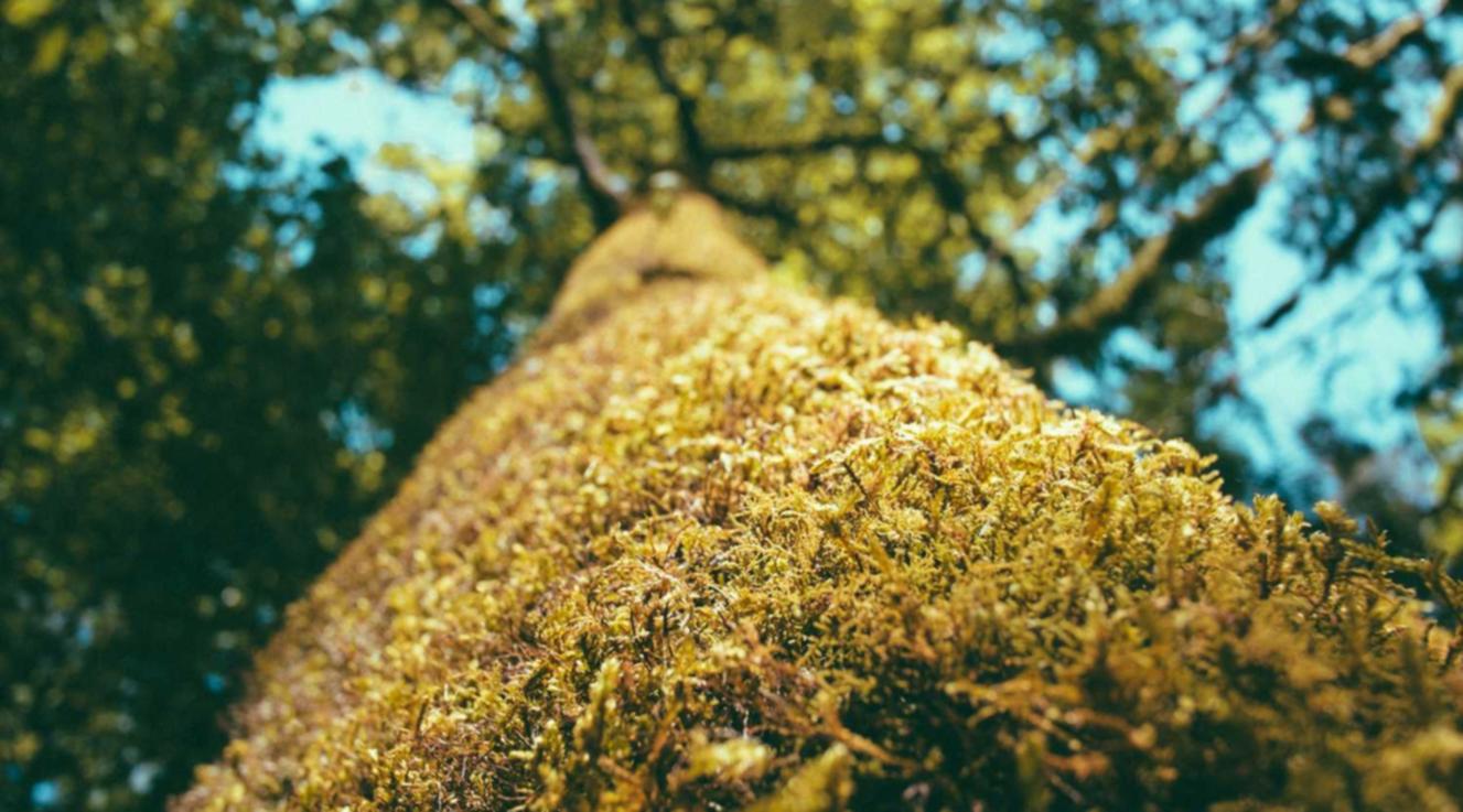 百分网app详情下载教程