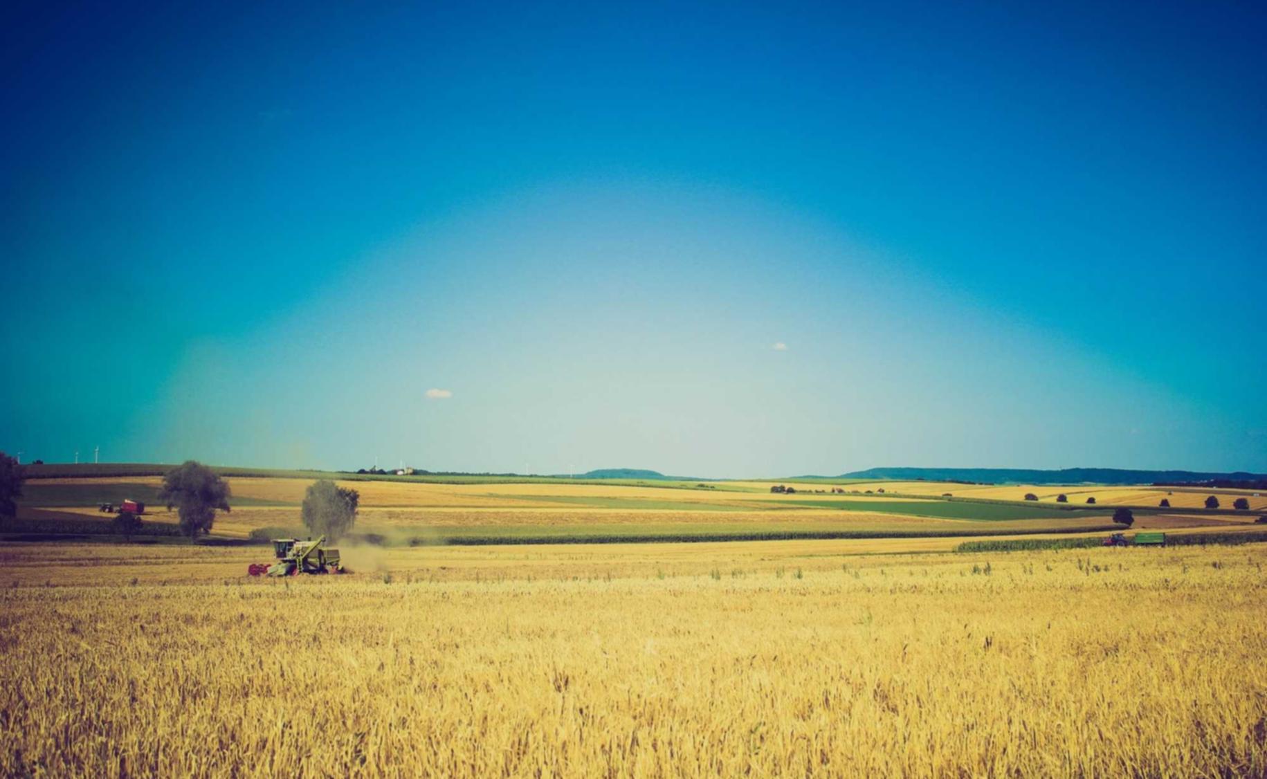 如何找到可靠的游戏技术支持制造商？