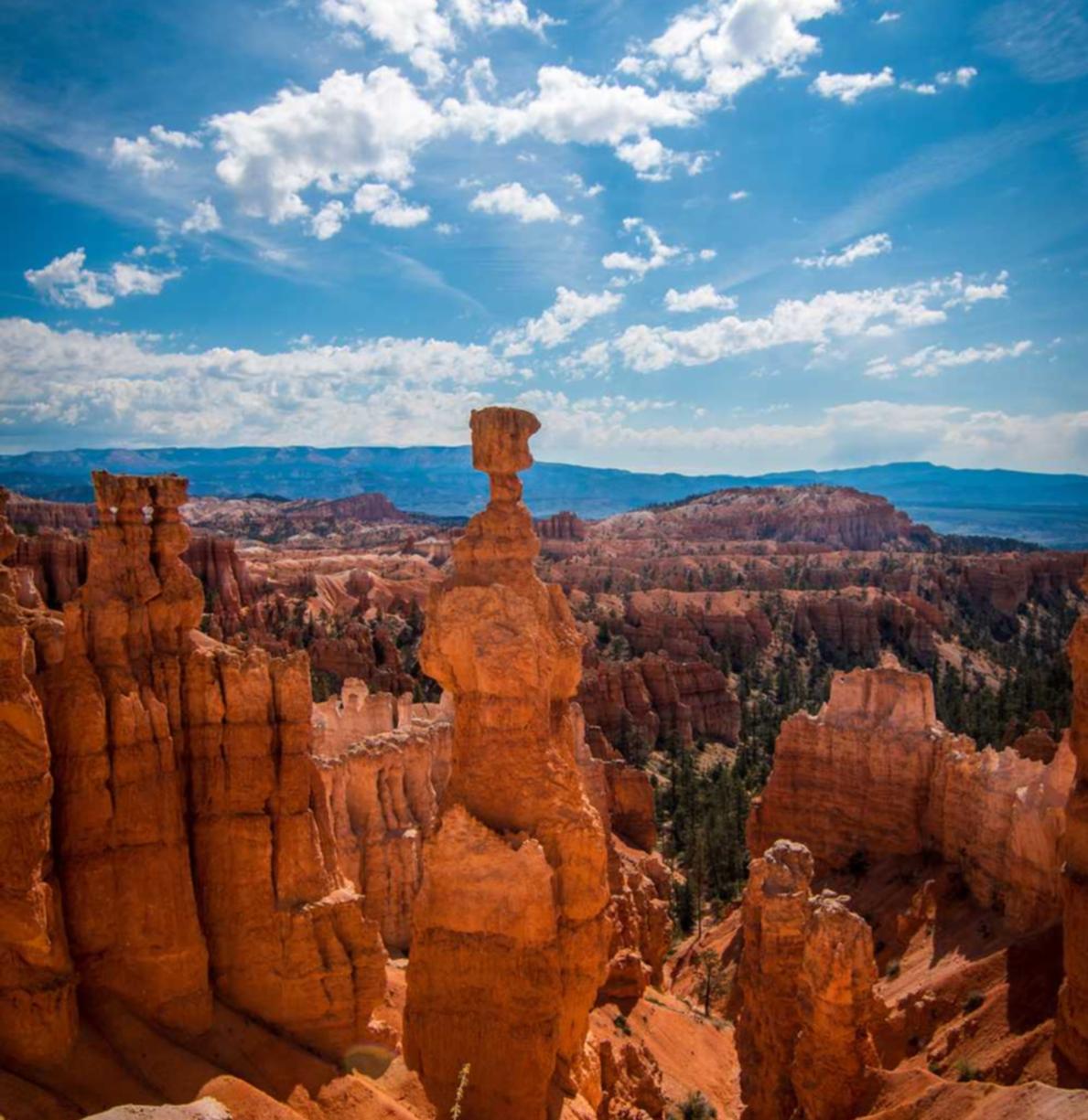 仙凡幻想:普陀代理会计记帐正规平台