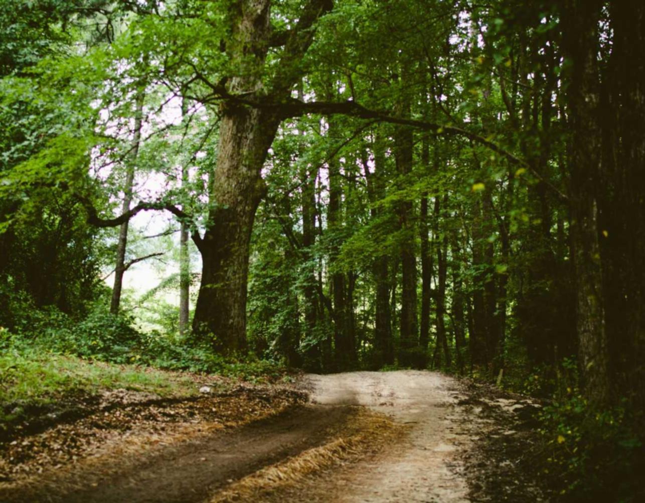 邮箱老号账号就购买平台