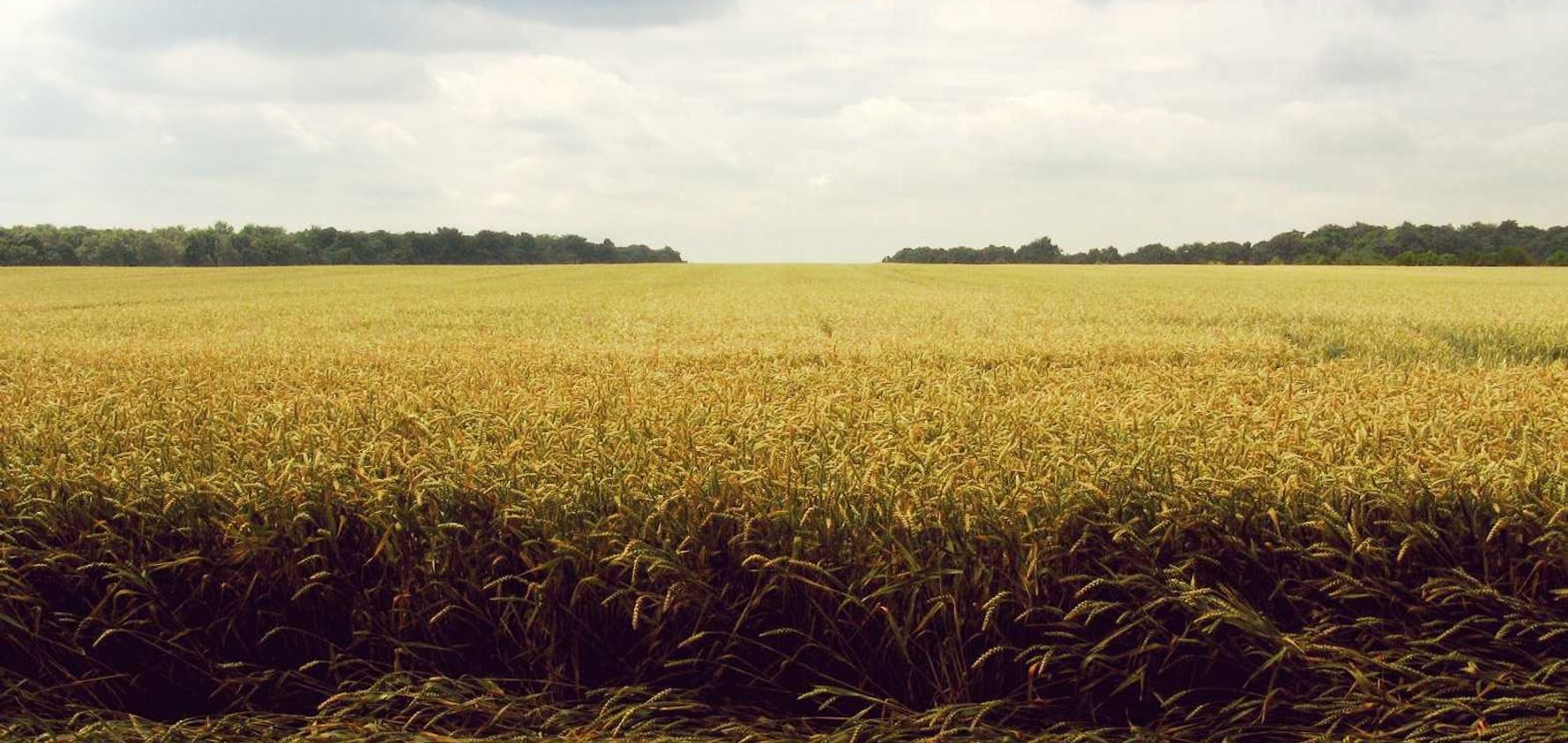 太阳3奉贤代理商标注册费用透明