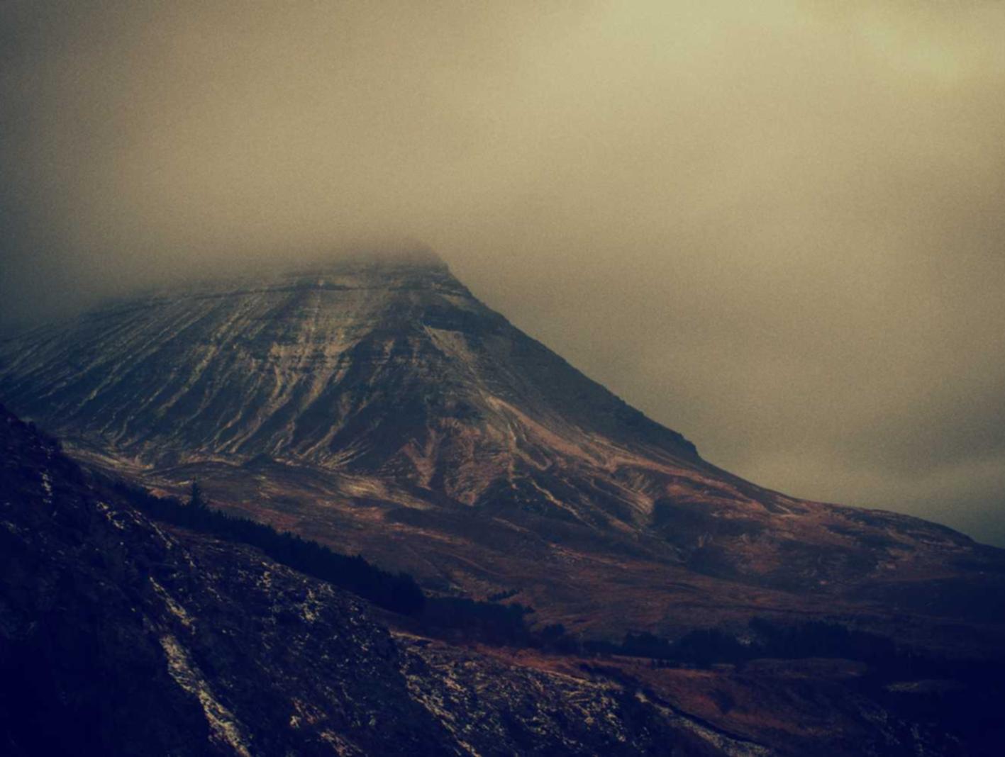 cnnic 域名注册代理