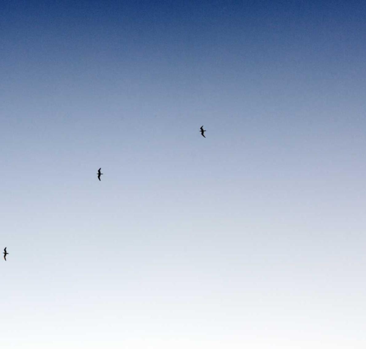 银盛通信实名账号：肥东注册代理记账机构