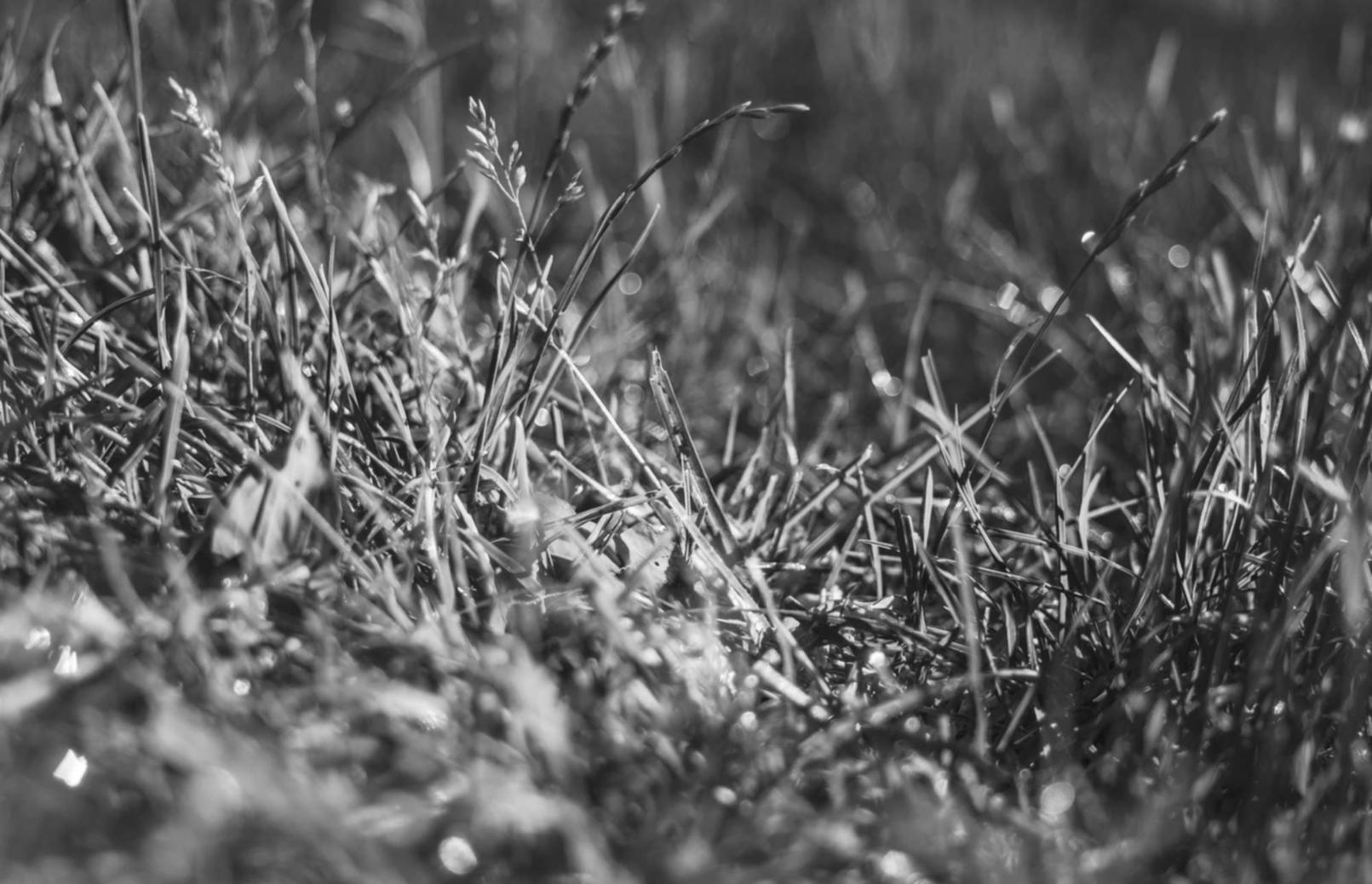 七星柔和4mg：无锡专业采购代理软件平台