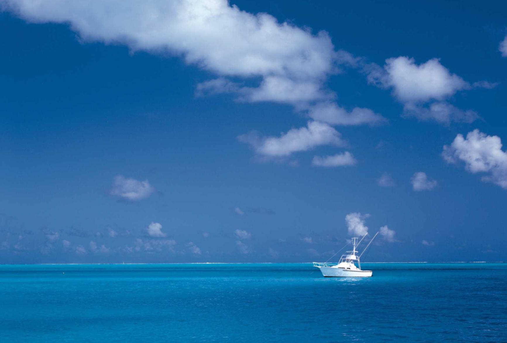 铁塔猫冰橙爆珠（粗）：福州平潭商标注册代理