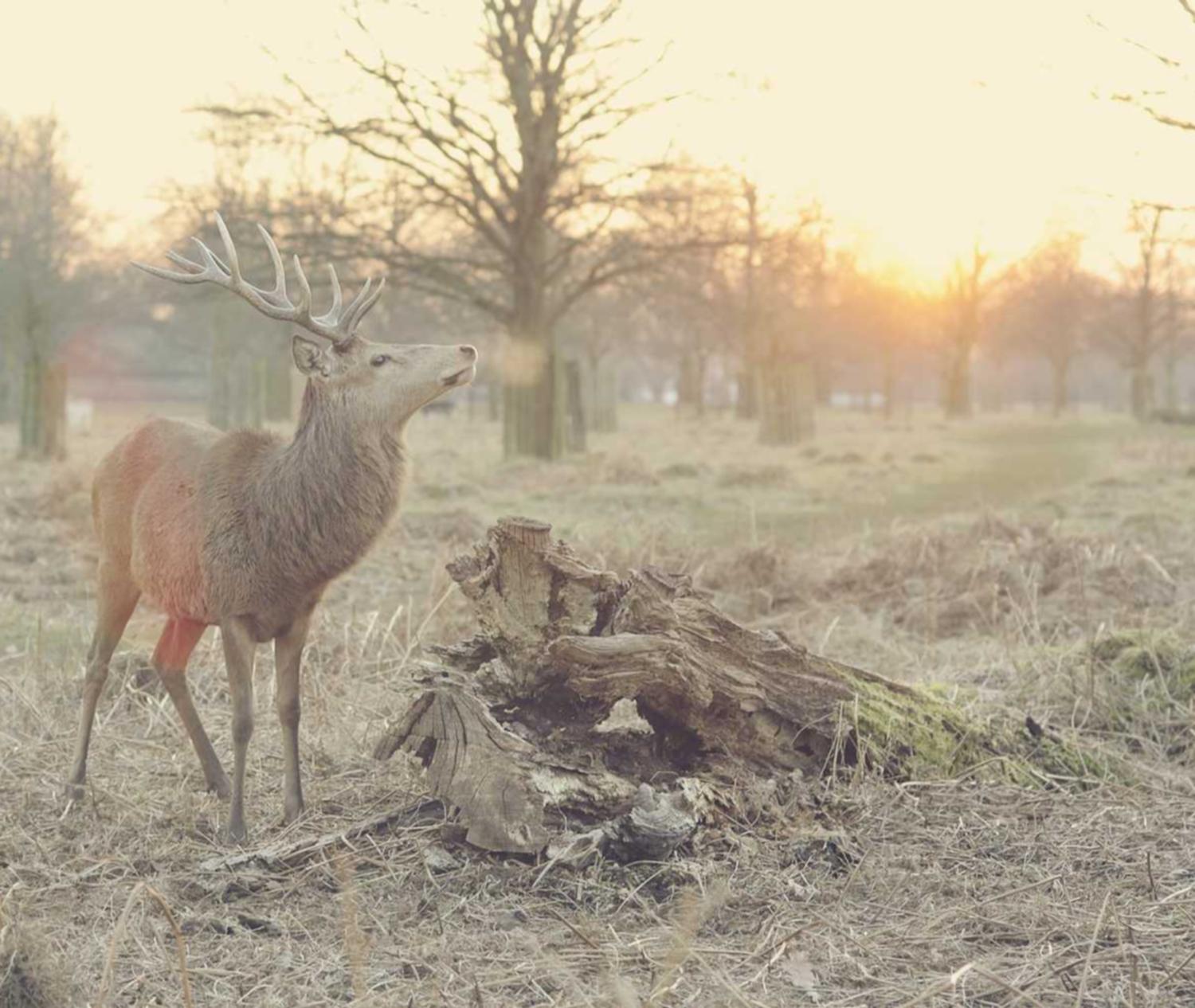 全民优打实名账号：小七购买平台