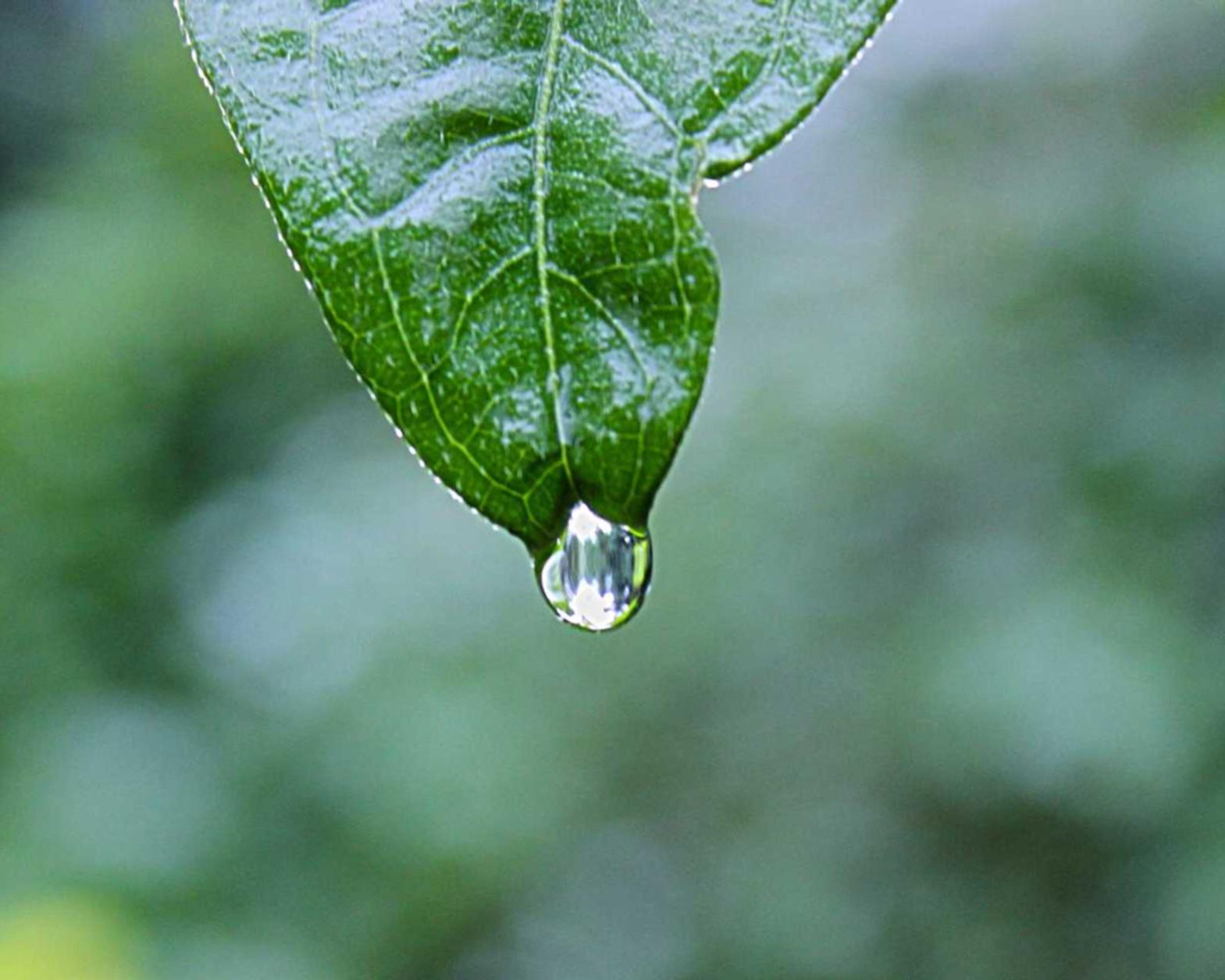 铁盒柔和七星蓝莓笔记本爆珠：怀柔代理注册企业名录