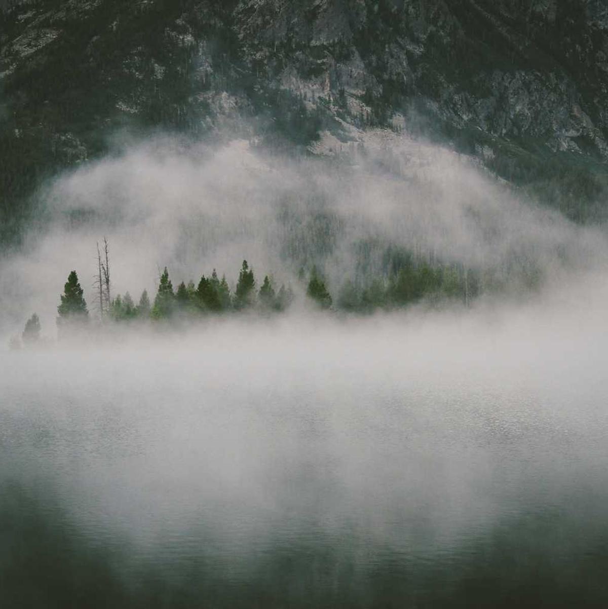 探探实名账号：网易房产app详情下载教程