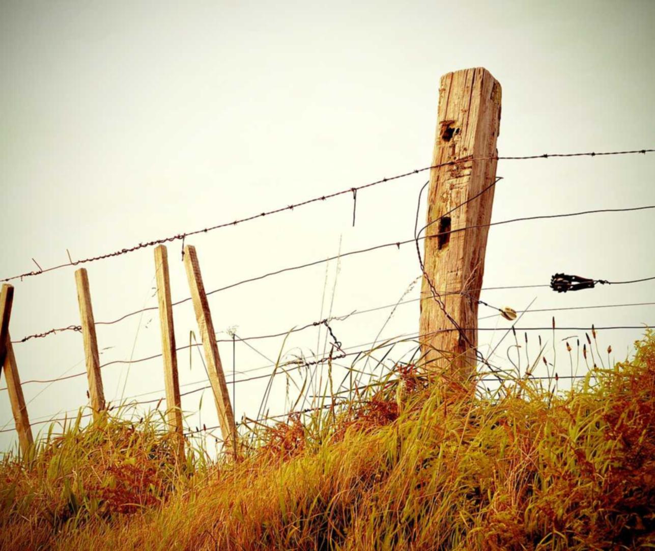 PUBG技术支持辅助在战场中的实践效果