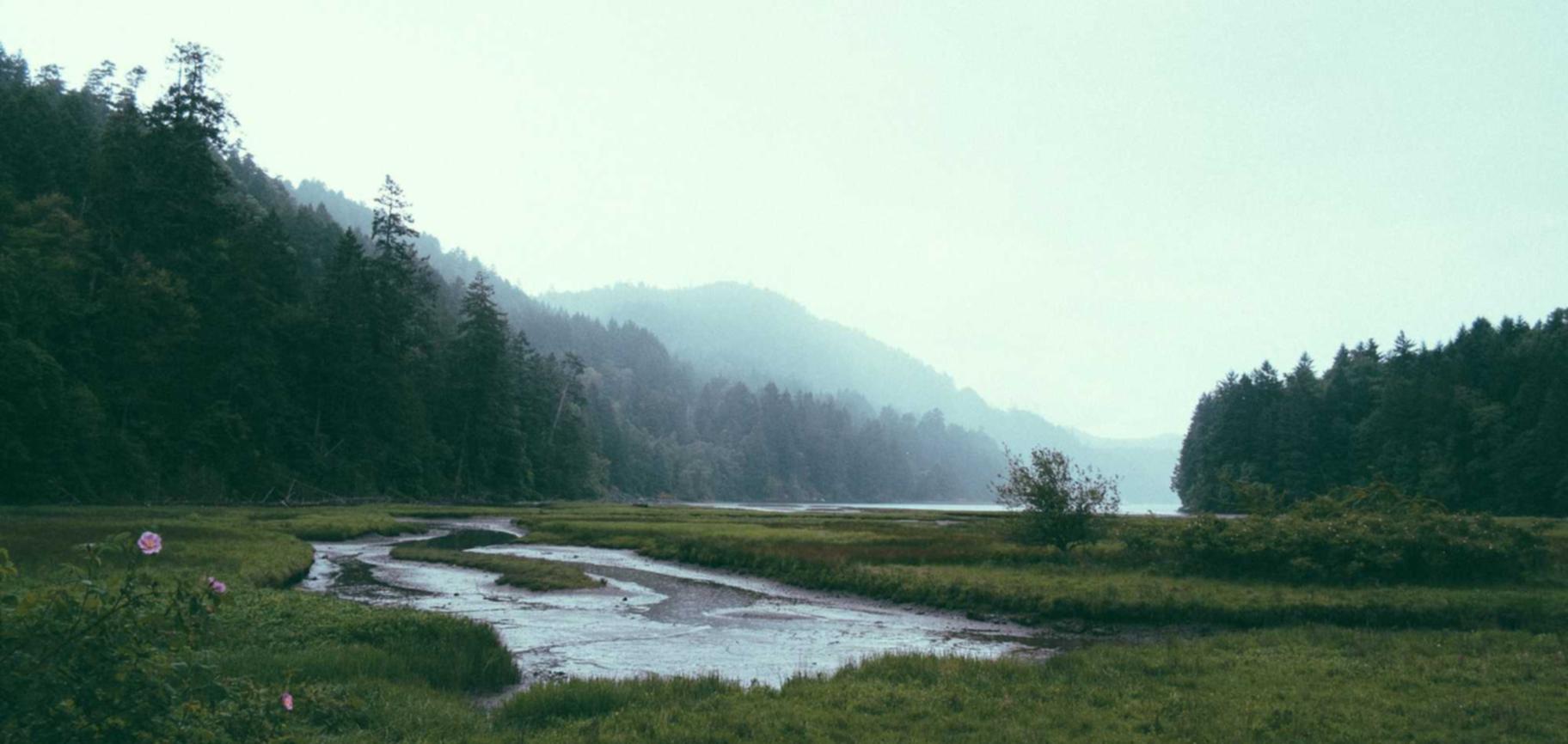 伊对实名账号：济南代理公司注册公司