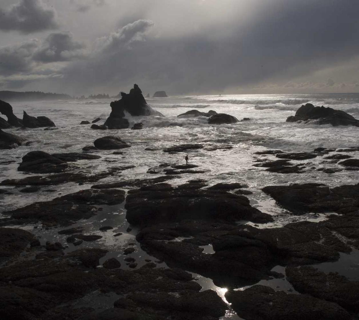 Peel百乐陈皮爆珠(细):app金融理财 详情下载教程