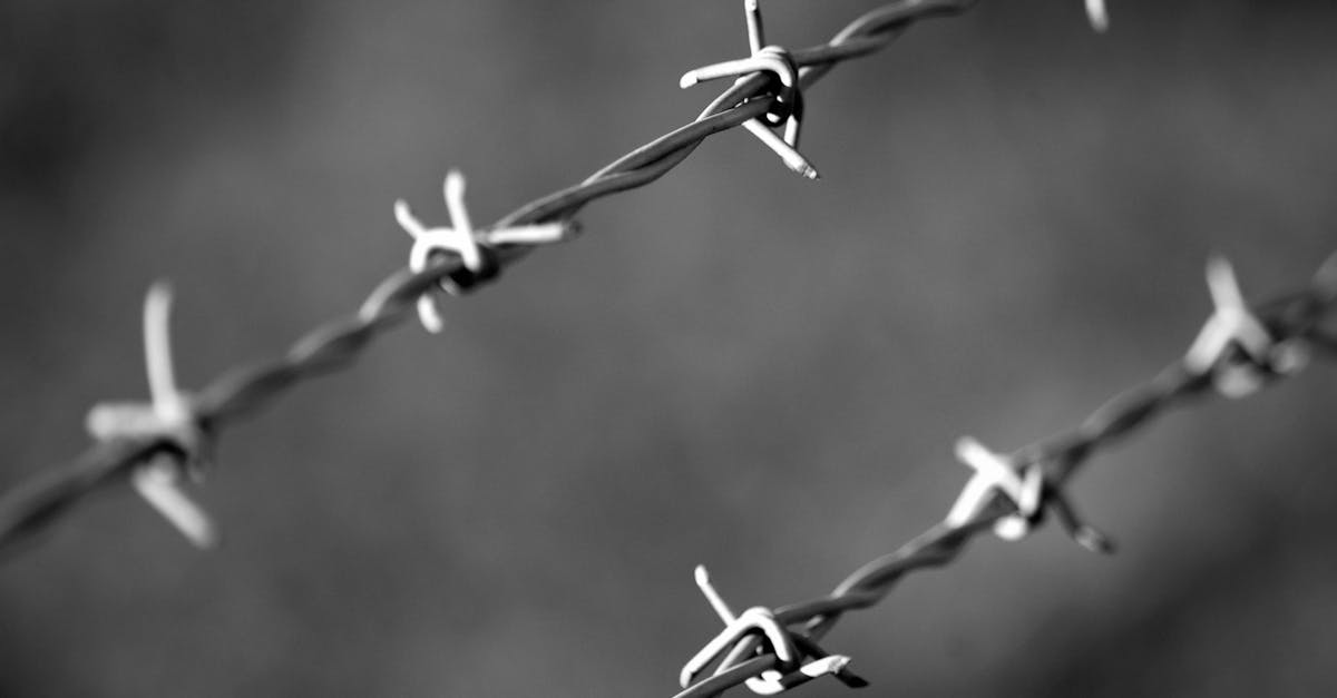 天九2长春市生活物资购买平台